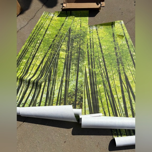Bamboo Forest Wallpaper - Picture 2 of 7